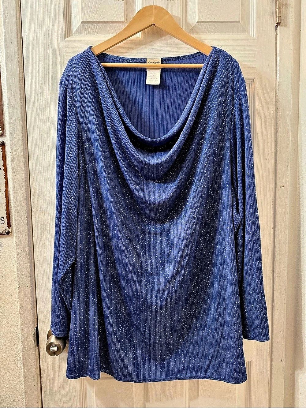 Candlelight & Champagne Cowl Neck Long Sleeve Tunic in Blue Size 3X Like New